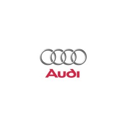 Audi - Forge Motorsport