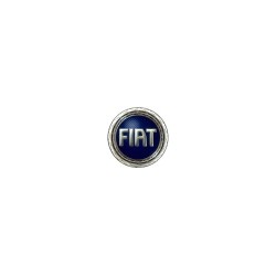 Fiat - Forge Motorsport