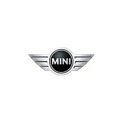 Mini - Forge Motorsport